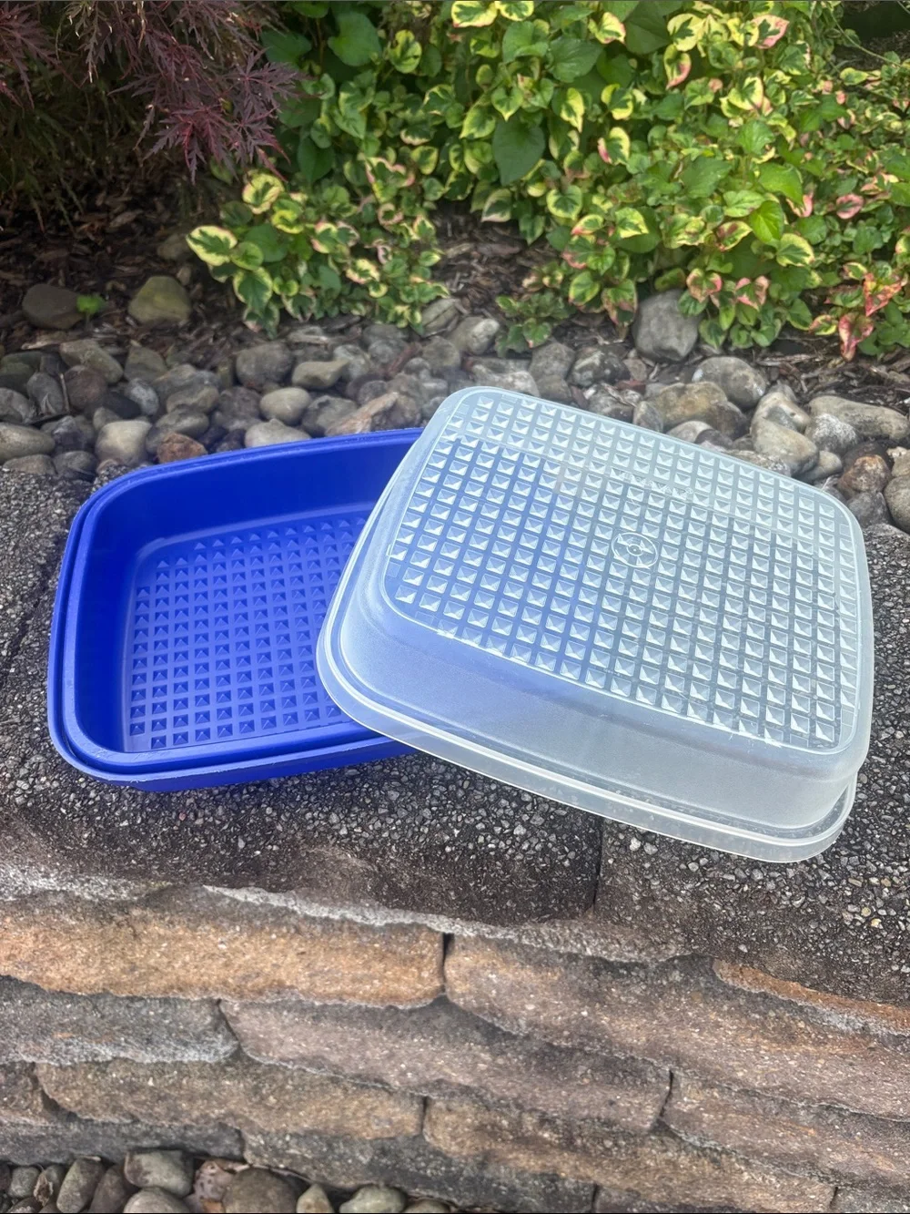 Vintage Tupperware Season-Serve Blue Marinating Container. AKA “The Marinator”